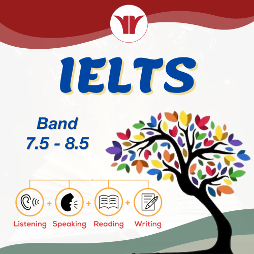 Luyện Thi IELTS 7.5 - 8.5