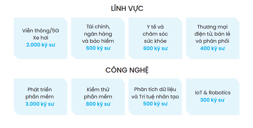 2. Lĩnh vực hoạt động