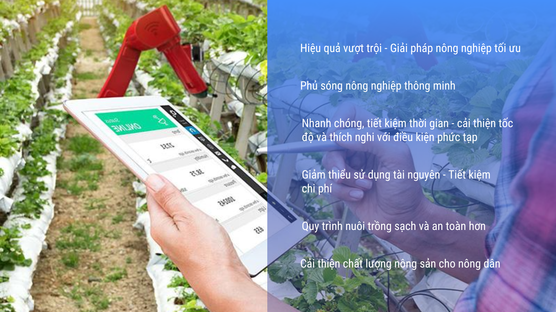 Lợi ích của ứng dụng IoT trong nông nghiệp